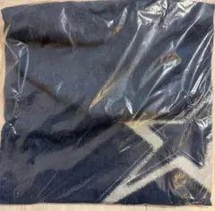 Item thumbnail for item 912e7d20-6770-4521-ac6e-764b4ec35a8a