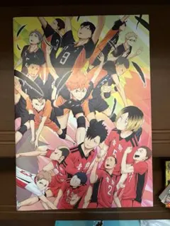 ハイキュー！！ 非売品 映画パンフレット終わりと始まり 音駒高校 VS 烏野高校