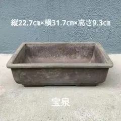 大型中型 盆栽鉢 山源 とこなめ 12号 落款 bonsai 寄せ植え植木鉢