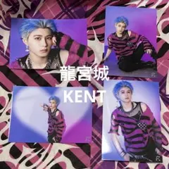 2026年最新】龍宮城 kentの人気アイテム - メルカリ
