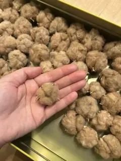 コットンフラワー 薄茶　綿花　24個