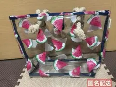 コクーニスト　すいか　ビニールバックのサムネイル