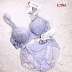 E70M トリンプ　ゴールドレーベル　ブラショーツセット