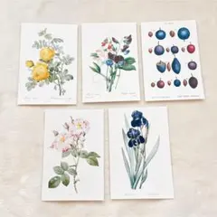 ♪ Post Card Collection プレゼアート ポストカード 5枚