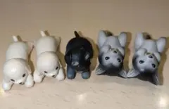 ファミリー ミニ犬 5体セット　お好みにわんちゃん設置 ミニドックフィギュア子犬