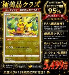 2026年最新】ピカチュウ モンスターボールミラー psa10の人気アイテム