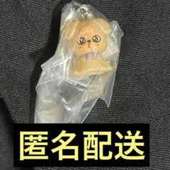 StrayKids スキズ めじるしアクセサリー ガチャガチャ パピーム