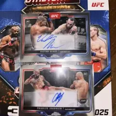 Item thumbnail for item 690c11ef-e410-4b11-af9e-2dea3af29eb3