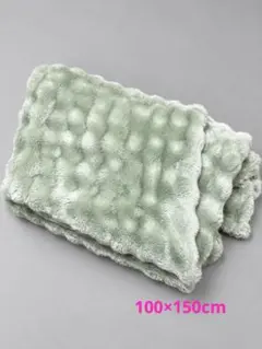 新品 ふわふわ 毛布 ブランケット 100×150cm ライトグリーン モカ