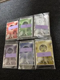 ホロカ エールカード(まとめ売り)