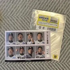 阪神タイガース シークレット 証明写真風ステッカー 岩崎優
