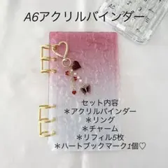 アクリルバインダー♡水流模様A6韓国バインダー貯金savingバタフライRed