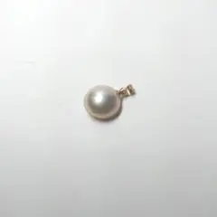 Item thumbnail for item 9b84e999-30b3-43a1-9dfa-b123bae1931d