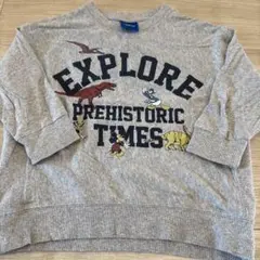 ミッキートレーナー