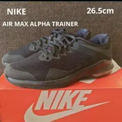 NIKE AIR MAX ALPHA TRAINER AA7060-009