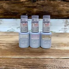 だいやの原石様ご依頼分 パルキコイ フラッシュジェル 6本セット✖️5