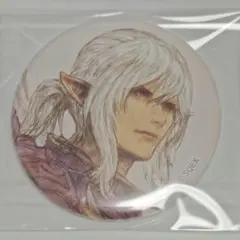 光の戦士の軌跡展 缶バッジ エスティニアン ② - メルカリ