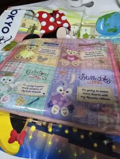 ダッフィー　ハートウォーミングデイズ　ランチケース