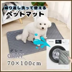 Item thumbnail for item 5943f6de-42ca-4cd5-9c4a-0d91bfd1c7cf