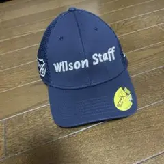 Item thumbnail for item e090cad0-2533-4523-b8f2-c1974651f699