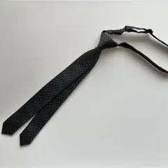 Item thumbnail for item da0dc982-8dbb-4574-a868-877dd8cc1a5c