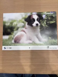 2026年 ソニー生命 壁掛けカレンダー ゆかいな子犬たちのサムネイル