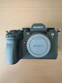 2026年最新】sony α1 ilce-1の人気アイテム - メルカリ