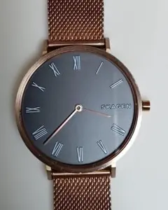 SKAGEN メンズ 腕時計 アナログ クォーツ SKW2675 デンマークのサムネイル