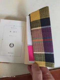 Item thumbnail for item 26324e87-995a-4fd1-bb67-75d50efdc5e5