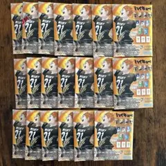 ハイキュー ステータスカード コレクション 第1弾 未開封 20点セット