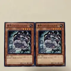 希少‼️遊戯王【EU版】素早いビッグハムスター 1st スーパー ABPF‼️ 北米版 素早いビッグハムスター ABPF 1st スーパー 遊戯王 海外 英語