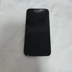 Apple iPhone 13 Pro グラファイト 256GB SIMフリー