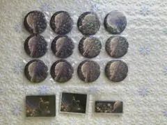 プロセカ　草薙寧々　まとめ売り