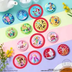 ディズニー　Disney　刺繍缶バッジ　第2弾　5点セット