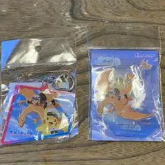 ポケモンスカイツリー フリードキャプテンピカチュウ リザードン 