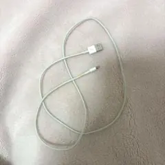 USB Lightning充電ケーブル 約1メートル