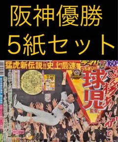 9月8日 阪神タイガース優勝　スポーツ新聞5紙セット