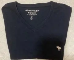 Abercrombie & Fitch ネイビー Vネック Tシャツ M