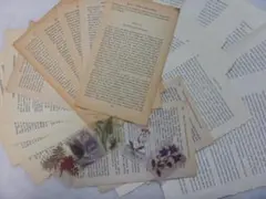新品 洋書切り離し100頁＆ボタニカルシール 英語 スペイン ドイツ ラテン