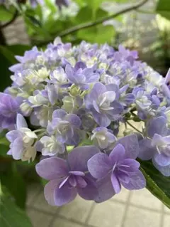 maron︎様 リクエスト 2点 まとめ商品