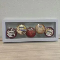 Häagen-Dazs アイスクリーム缶バッチ5個セット