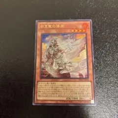 遊戯王　白き竜の落胤 ウルトラ