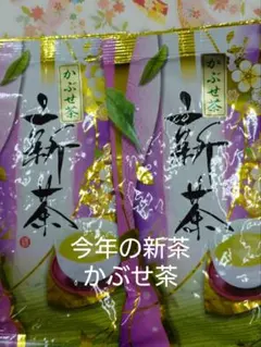 2026年産 新茶 静岡県産 送料無料 初芽の香り100g×3袋 敬老の日