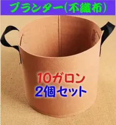 布鉢 プランター 不織布 ポット 栽培 家庭菜園 10ガロン 2個セット