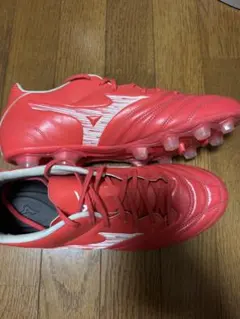 モナルシーダネオ　28cm