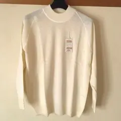 Item thumbnail for item f90ca594-4668-41dd-93ee-5347596f8843