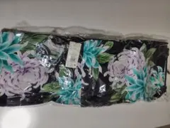 Item thumbnail for item 835e8036-347a-46c5-a769-0d45d5523a3d