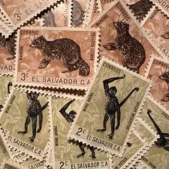 HANA様 リクエスト 2点 まとめ商品