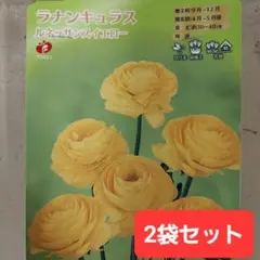 Momiji☆様 リクエスト 2点 まとめ商品