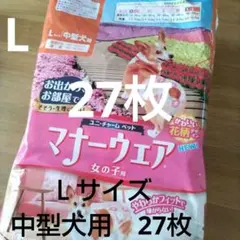 Item thumbnail for item 16e3a746-62e5-420f-b267-af258fa6b804